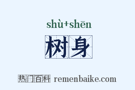 树身是什么意思的图片